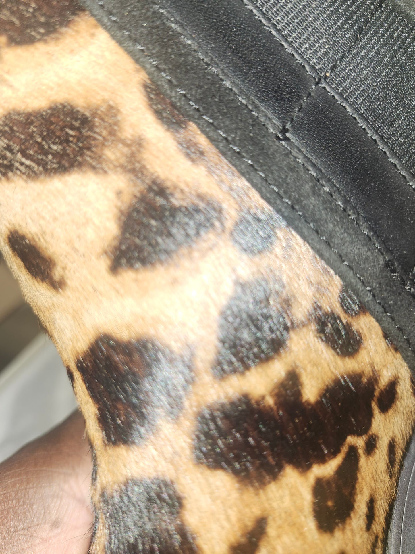 Rockport Larkyn Leopard Print Chelsea Boots 6.5 M